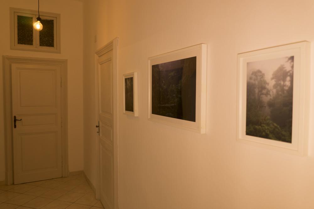 Trastevere Corner Eight Rome Bagian luar foto