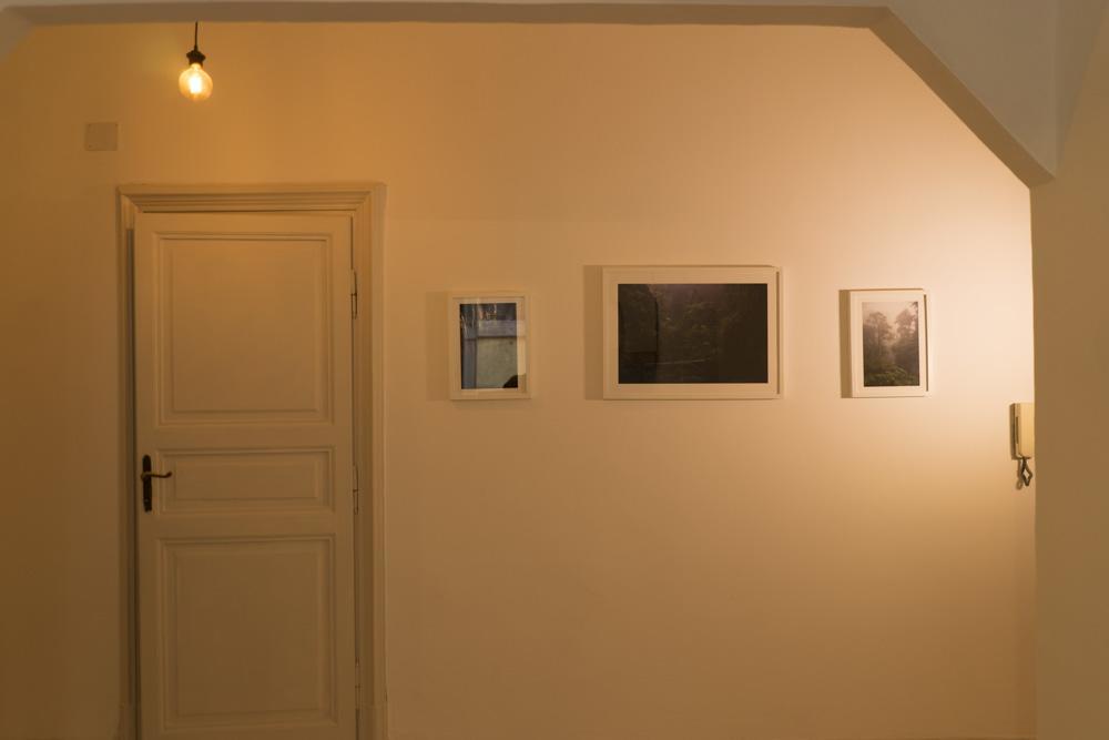 Trastevere Corner Eight Rome Bagian luar foto